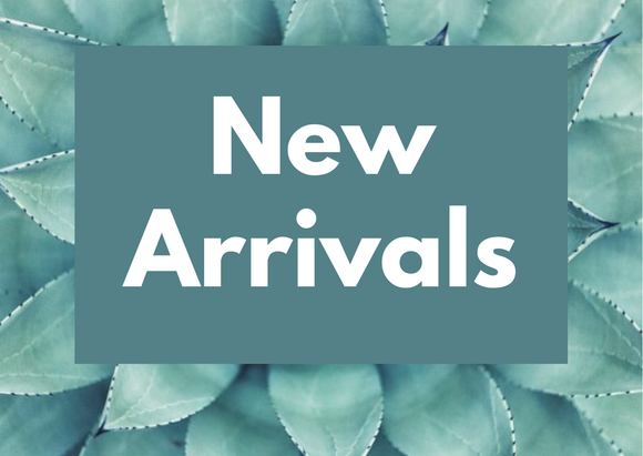 Pure Silver Jewellery