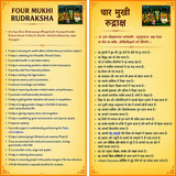Natural 4 Mukhi Rudraksha with red thread