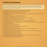 Natural 5 Mukhi Rudraksha with red thread