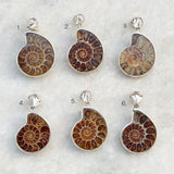Ammonite Silver Pendant