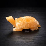 Calcite Tortoise