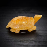 Calcite Tortoise