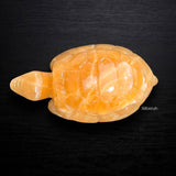 Calcite Tortoise