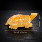 Calcite Tortoise