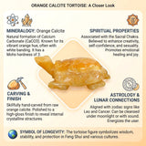Calcite Tortoise