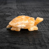 Calcite Tortoise
