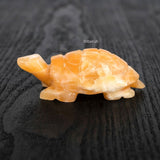 Calcite Tortoise
