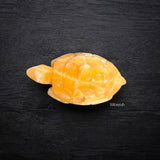 Calcite Tortoise
