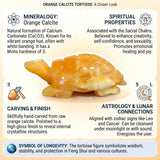 Calcite Tortoise