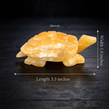 Calcite Tortoise