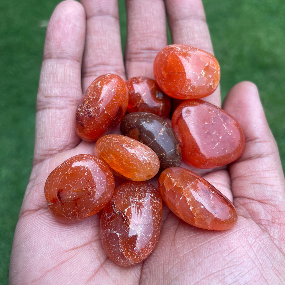 Carnelian Tumbles Carnelian Tumbles