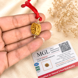 Natural 3 Mukhi Rudraksha with certification