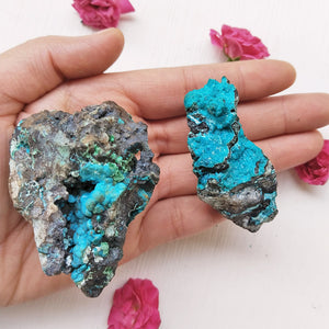 Handpicked Chrysocolla healing crystal set for energy work