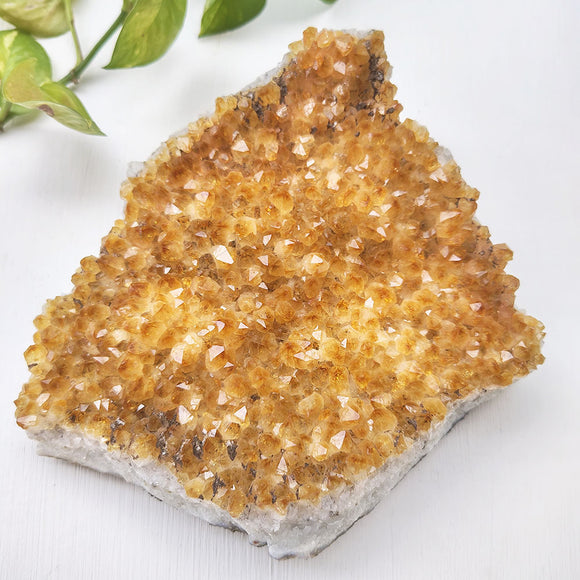 Natural citrine cluster crystal for wealth and vastu placement