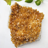 Silberuh citrine cluster for home and office energy healing
