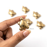 Hematite tortoise with gold finish for home and office