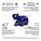 Upward-trunk gemstone elephant for office décor and auspicious gifting