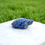 Lapis Lazuli Tortoise