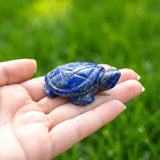 Lapis Lazuli Tortoise