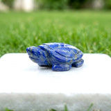 Lapis Lazuli Tortoise