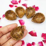 Natural mariam diya for root chakra healing and meditation