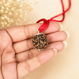 Natural 5 Mukhi Rudraksha from Nepal with certification