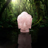 Genuine Rose Quartz Buddha Head for meditation and home décor