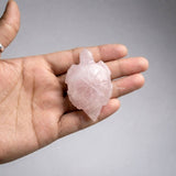 Close-up of a Rose Quartz tortoise carving
