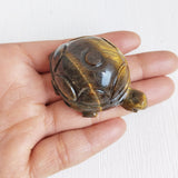 Tiger's Eye Tortoise