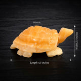 Yellow Calcite Tortoise