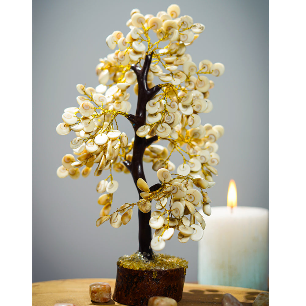 Shiva Eye Tree – SILBERUH