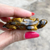 Tiger's Eye Tortoise