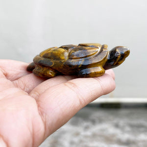 Tiger's Eye Tortoise