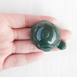 Columbian Jade Tortoise