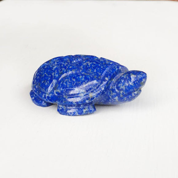 LAPIS LAZULI TORTOISE