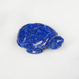 LAPIS LAZULI TORTOISE