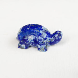 LAPIS LAZULI TORTOISE