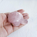 ROSE QUARTZ TORTOISE