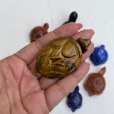 Tiger's Eye Tortoise