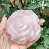 Rose Quartz Rose Flower
