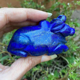 Lapis Lazuli Nandi
